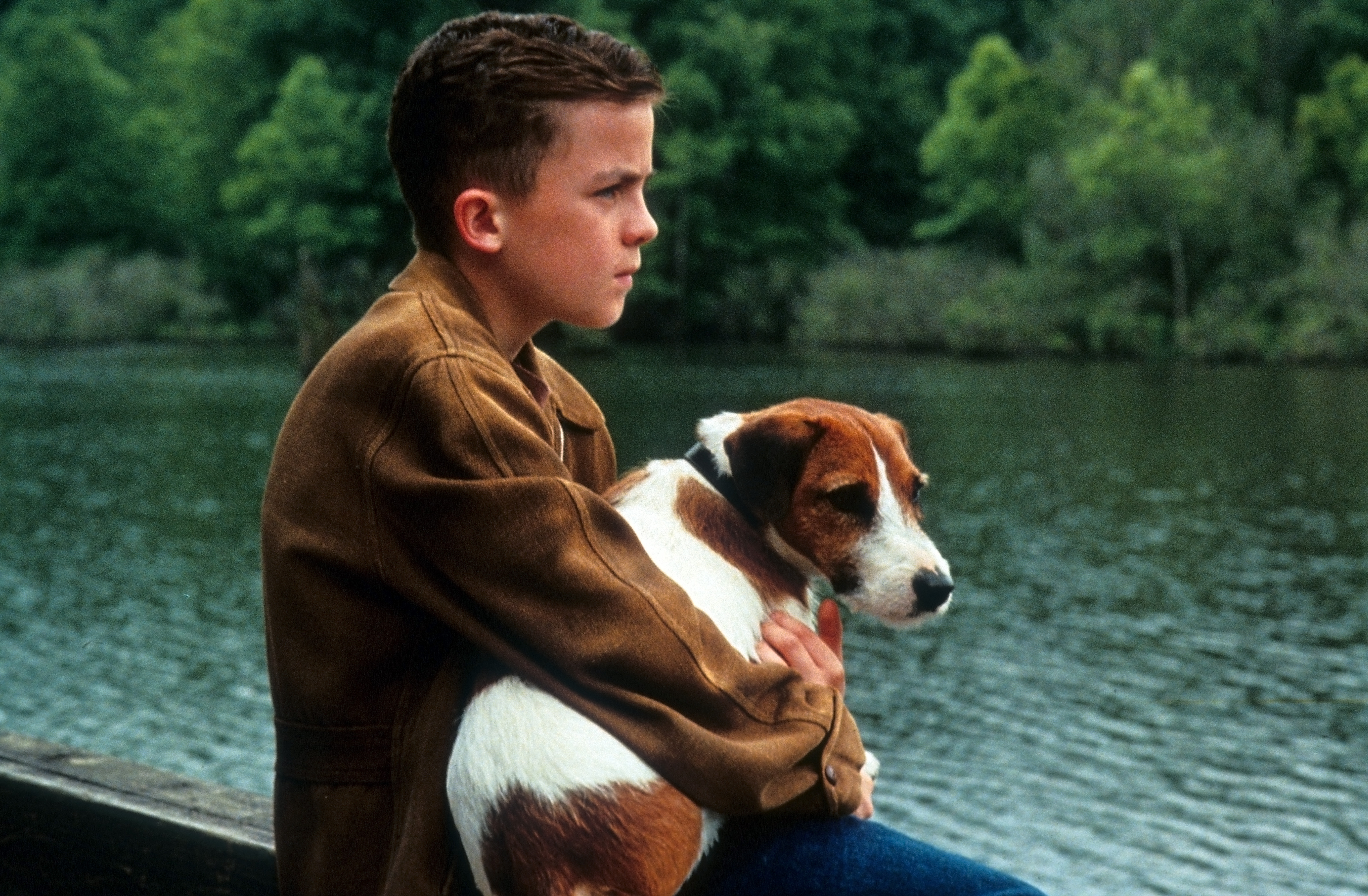 Frankie Muniz sostiene a Skip en una escena de la película de Warner Brothers "My Dog Skip" en 2000 | Fuente: Getty Images