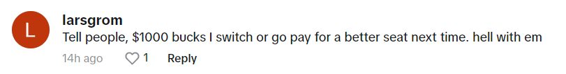 "Dile a la gente que sale 10 mil dólares el cambio o que compren un asiento mejor la próxima vez. Al diablo con ellos" | Comentario de un usuario de TikTok en el vídeo de Tammy Nelson | Foto: tiktok.com/myconquering