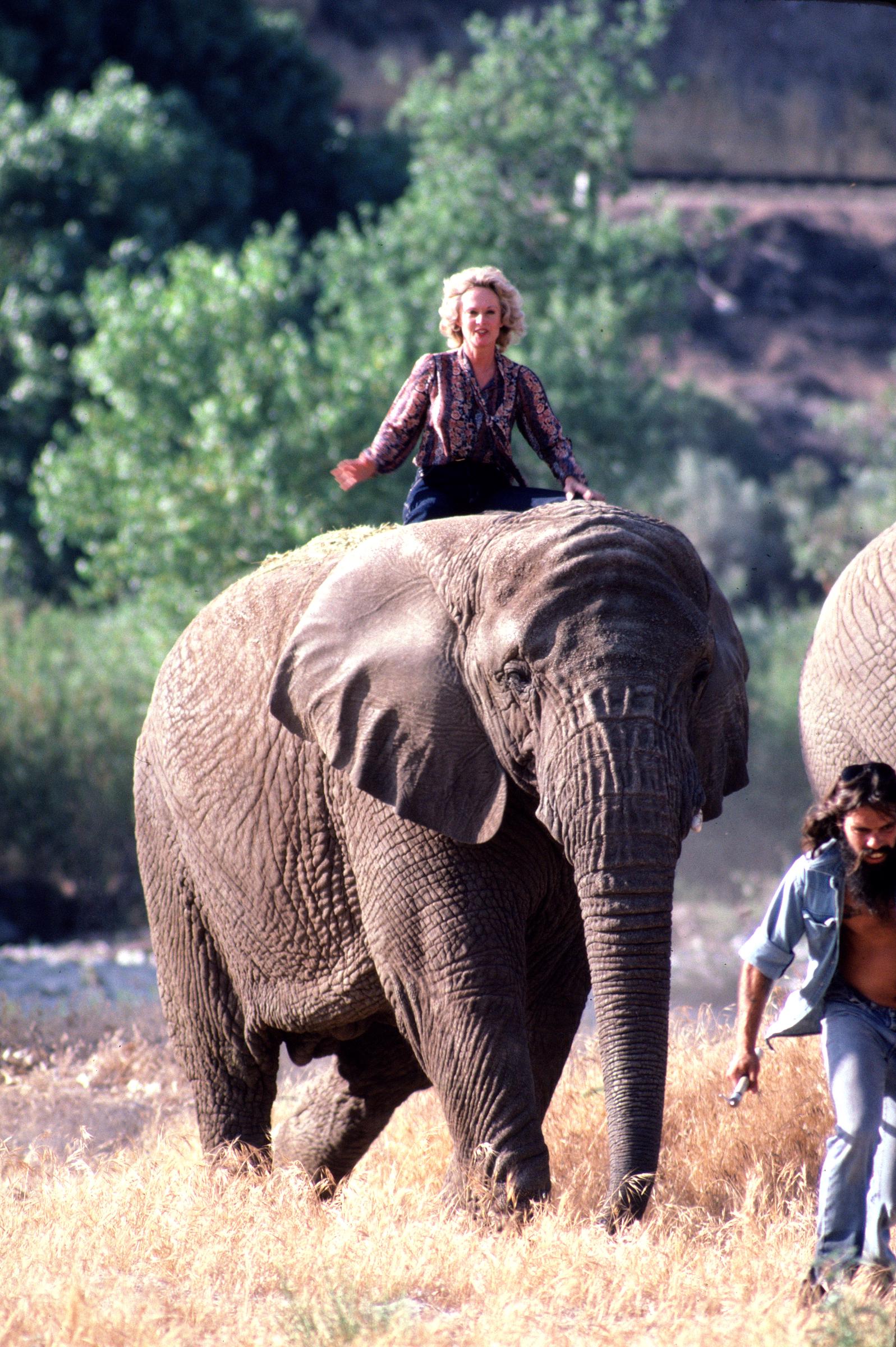 Melanie Griffiths sentada a horcajadas sobre un Elefante en su reserva Saugus Animal en Saugus, California, el 17 de noviembre de 1983. | Fuente: Getty Images