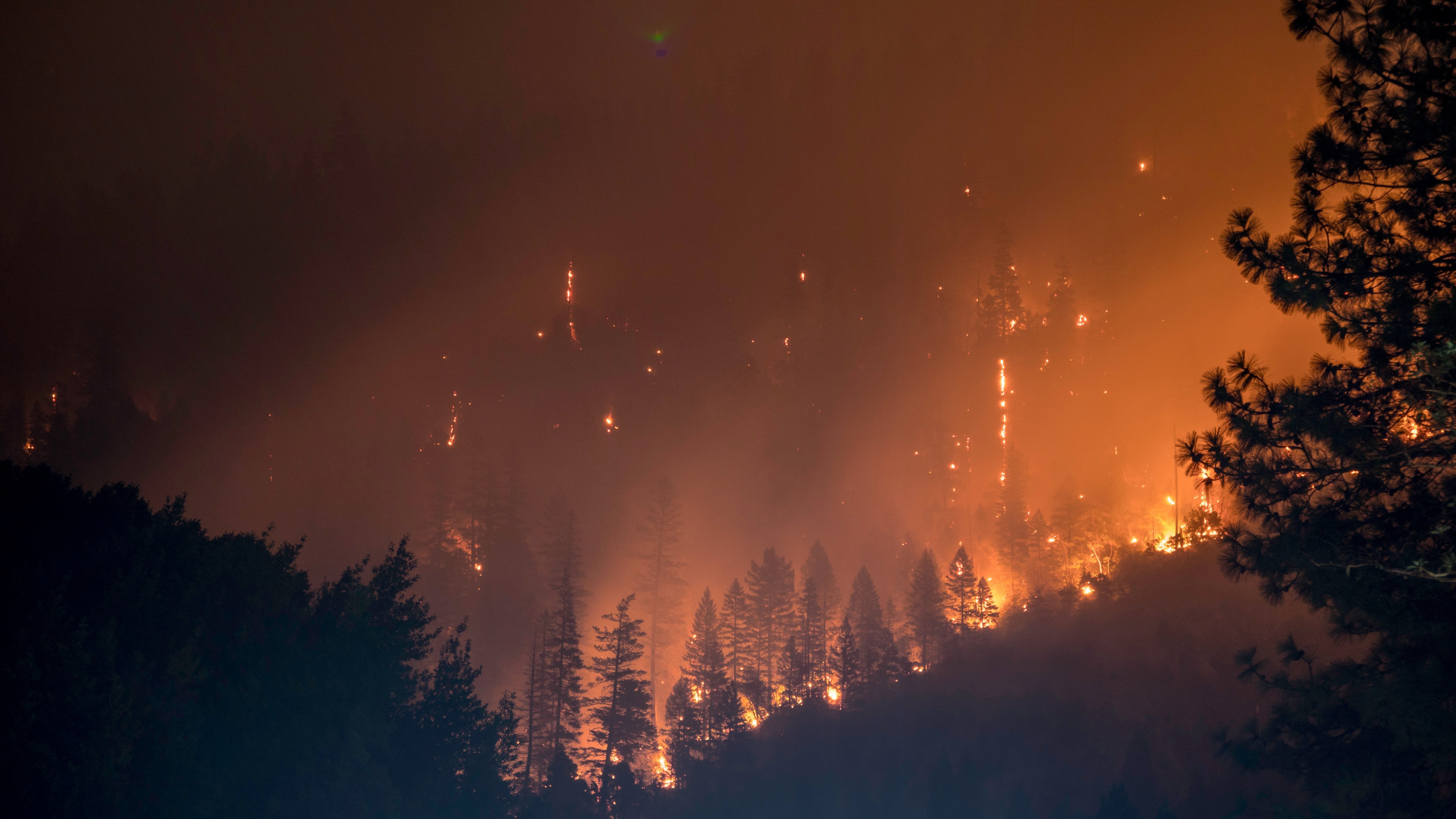 Un furioso incendio forestal. | Imagen: Unsplash.com  