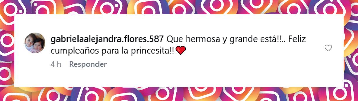 Comentario de una usuaria sobre el cumpleaños de Inés, la hija de Maru Botana | Fuente: Instagram/marubotanaok