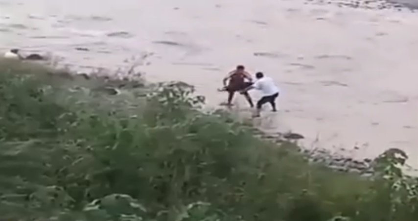 Niños arrojan perro a un río. | Foto: Facebook/QuesepaJujuy