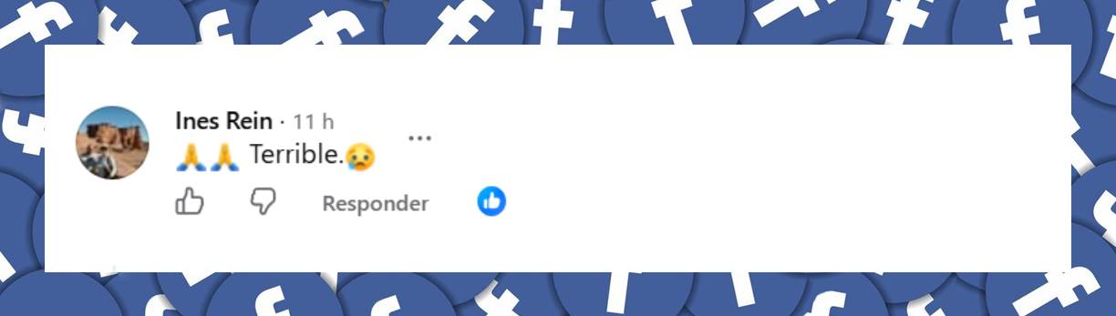 Comentario de una usuaria | Fuente: Facebook/prontorevista