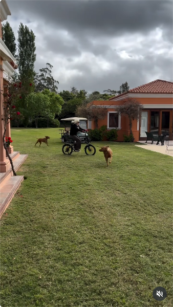 Susana Giménez durante un paseo en bicicleta en el jardín de su mansión junto a sus perritos | Fuente: Instagram/gimenezsuok