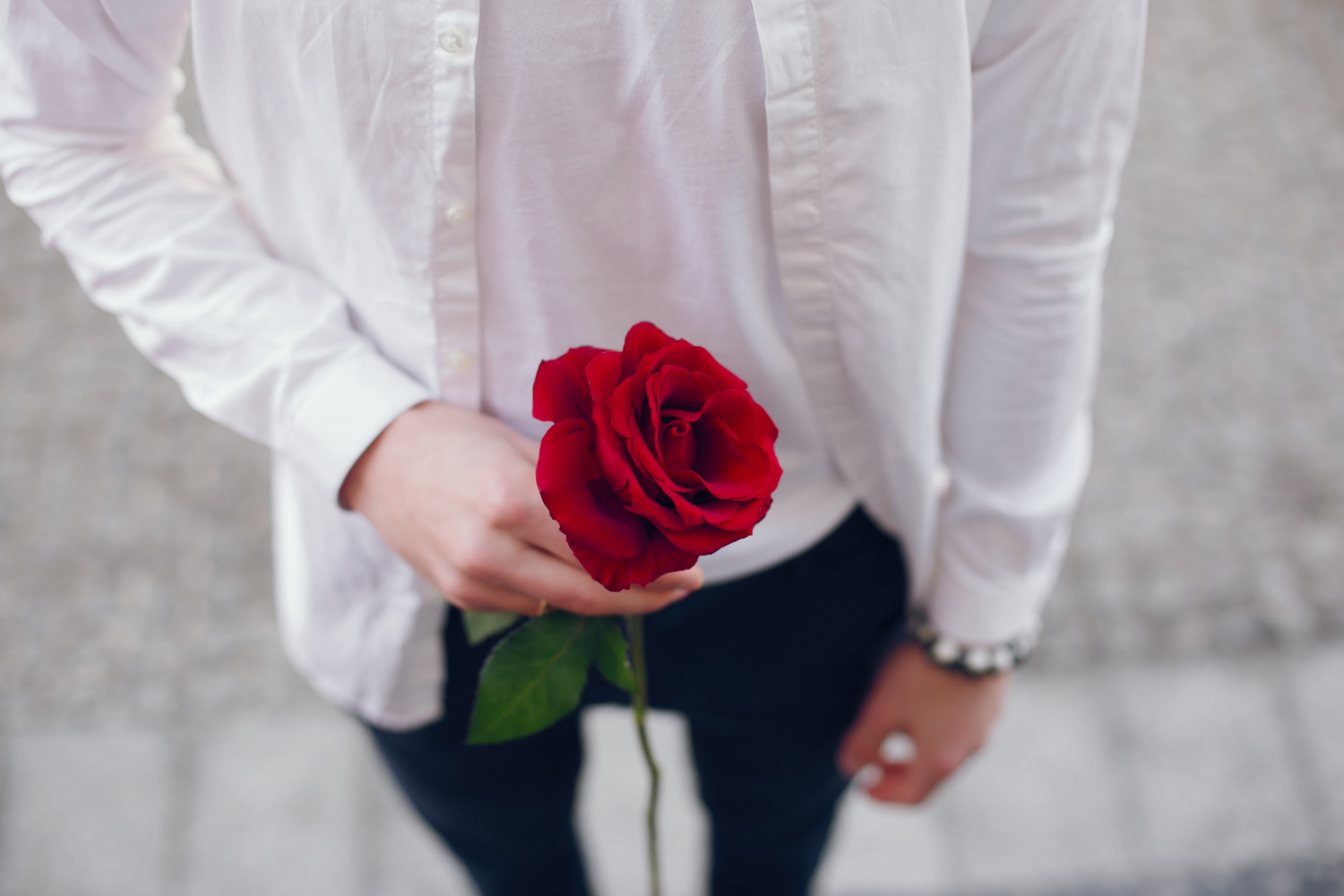 Un joven sujetando un tallo de rosa roja | Fuente: Freepik