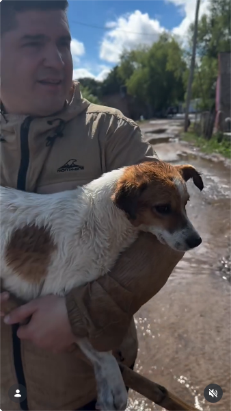 Alejandro Pueblas, cronista de América Noticias y de la señal A24, con el perrito rescatado en brazos mientras camina por las calles | Fuente: Instagram/alepueblasok