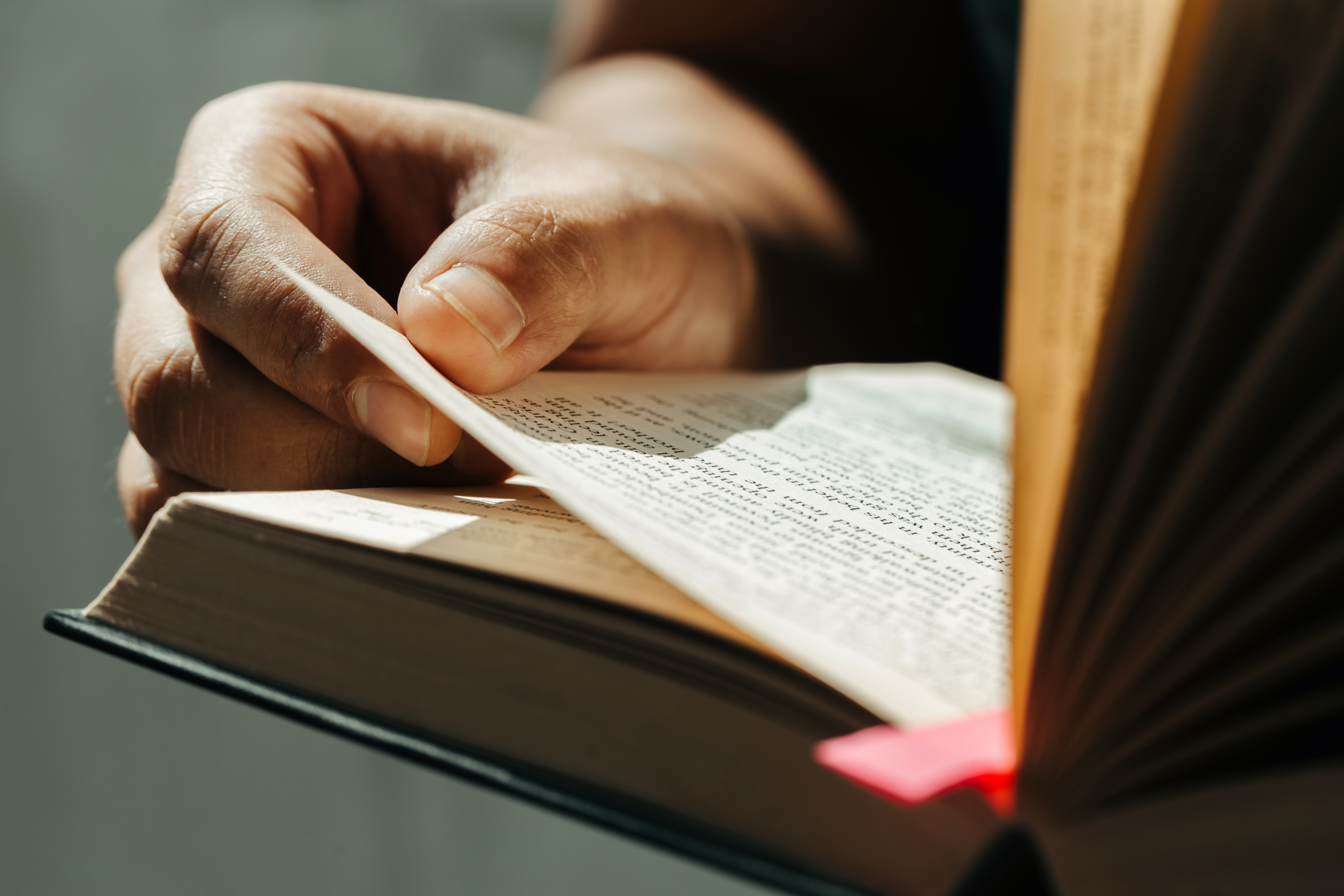 Alguien leyendo una biblia | Fuente: Getty Images