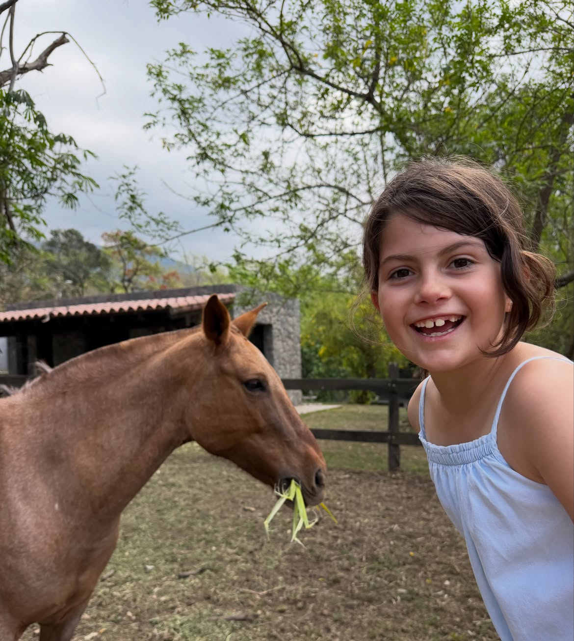 Belita, la hija mayor de Isabel Macedo, posando cerca de un caballo en una finca | Fuente: Instagram/isabelmacedophoto