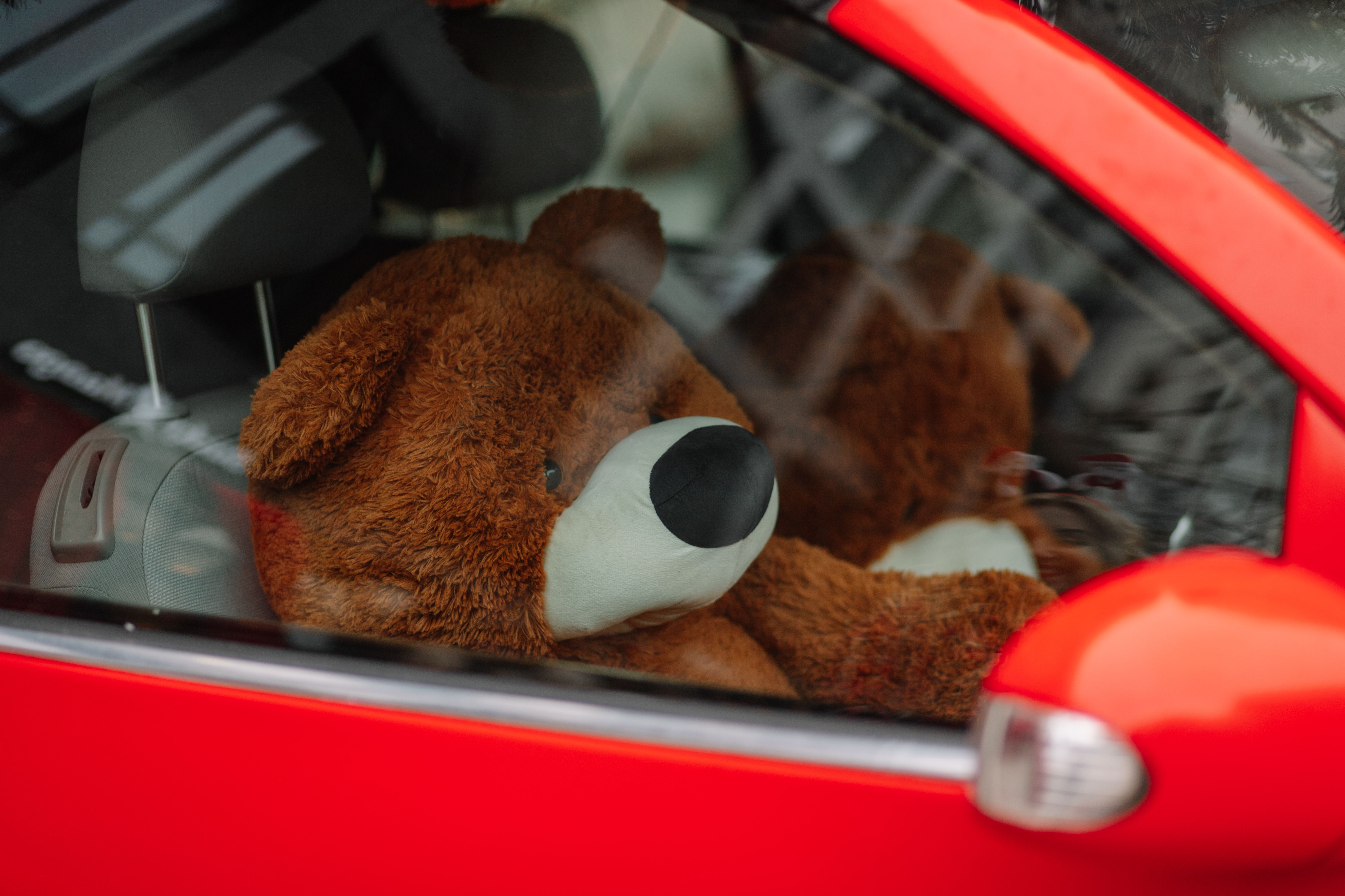 Un osito de peluche dentro de un automóvil | Fuente: Pexels