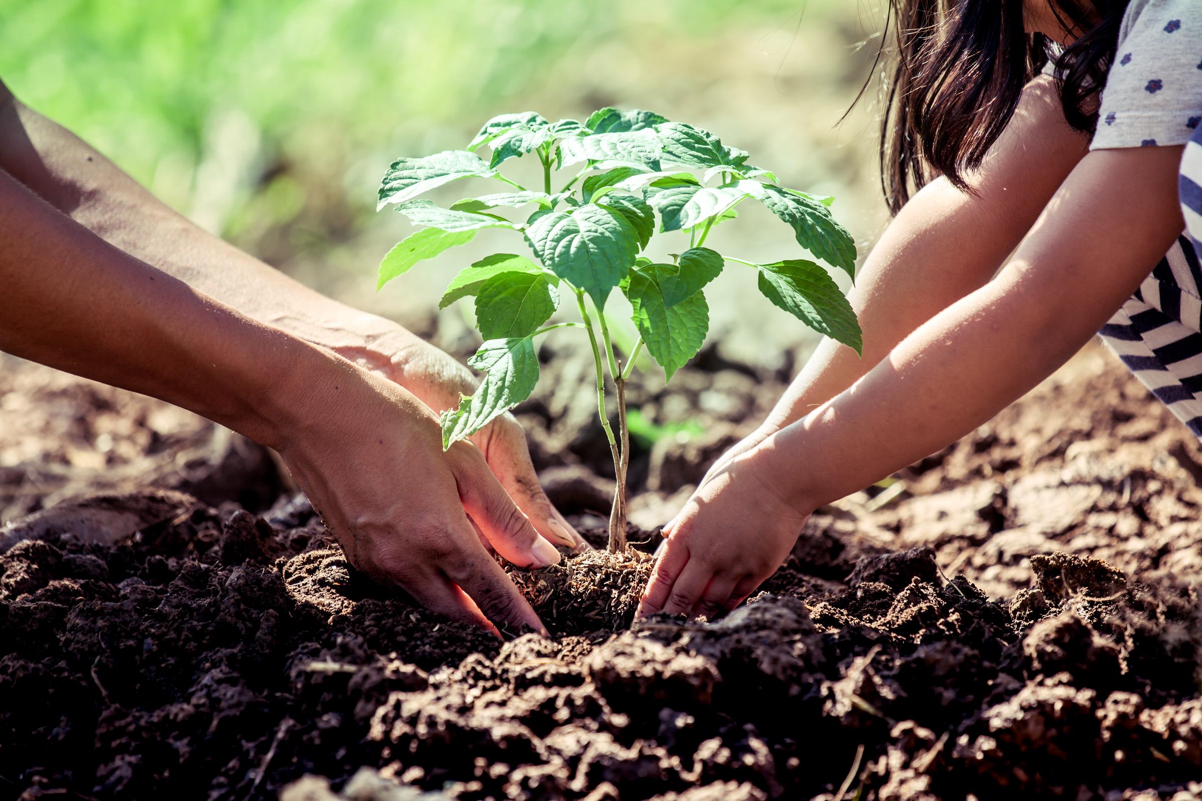 Imagen con fines ilustrativos | Foto: Shutterstock