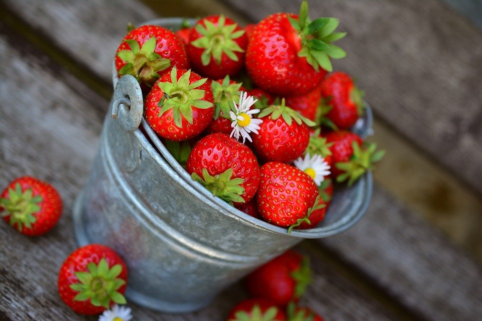 Las fresas tienen altos residuos de pesticidas.| Fuente: Pixabay