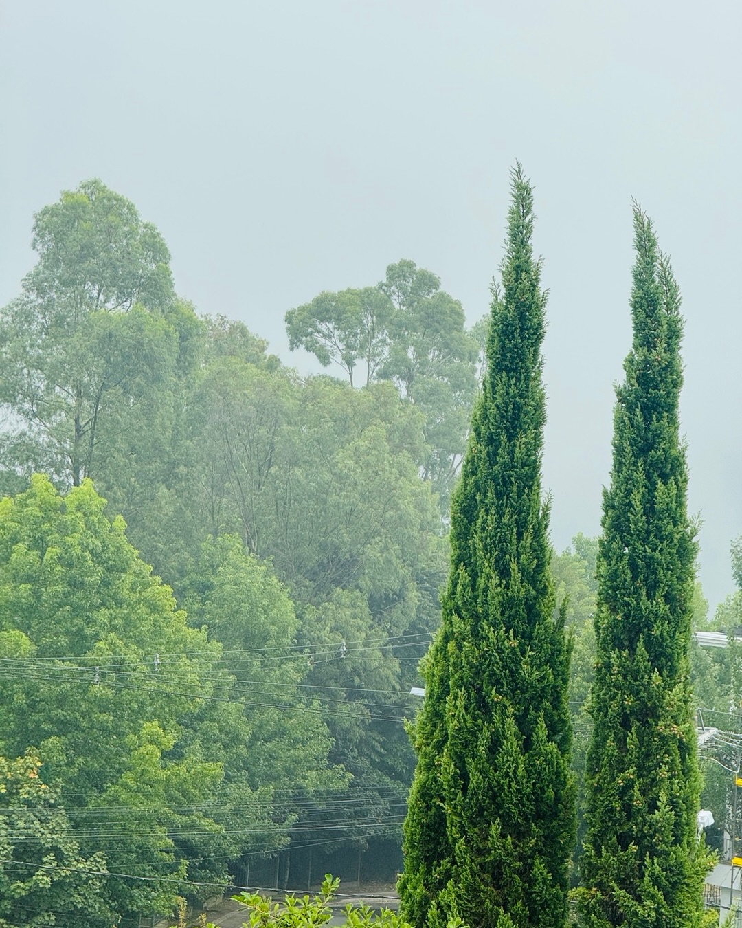 Fotografía tomada por Cecilia Roth durante sus vacaciones de descanso en la naturaleza | Fuente: Instagram/ceciroth