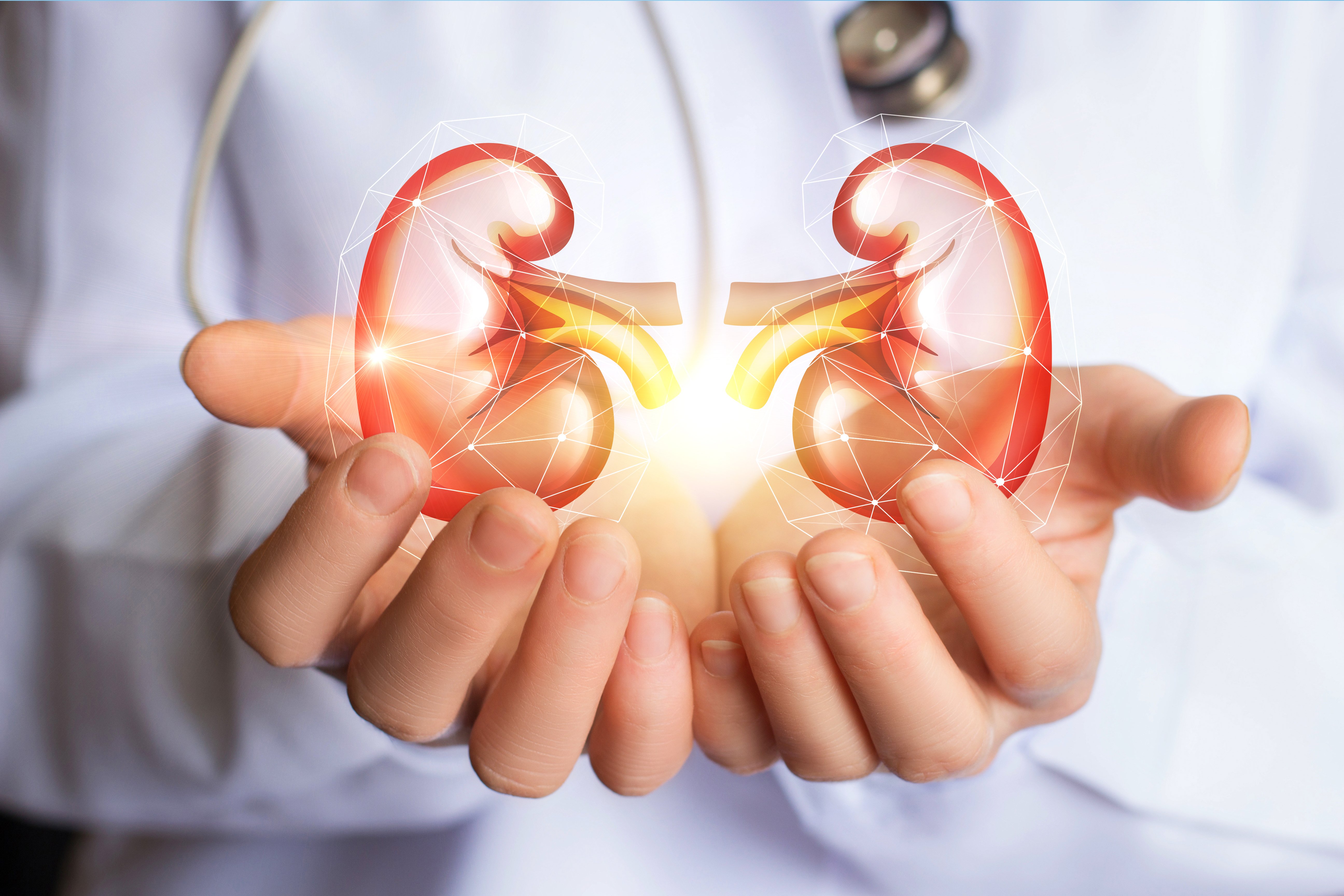 Doctor mostrando imagen de los riñones| Foto: Shutterstock