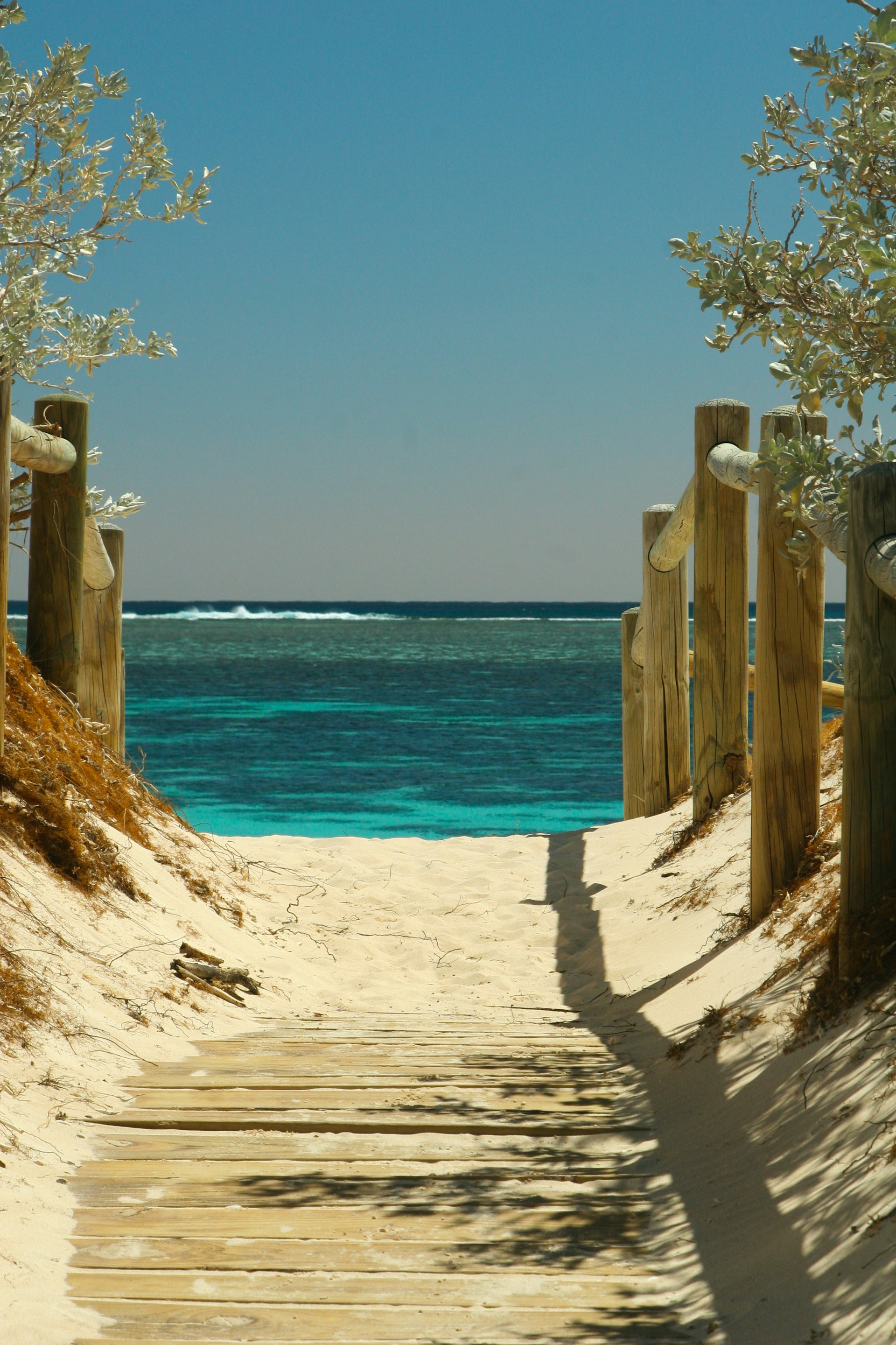 Un camino hacia la playa | Fuente: Unsplash