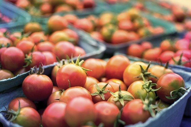 Varias cajas de tomates. |  Foto: Pixabay