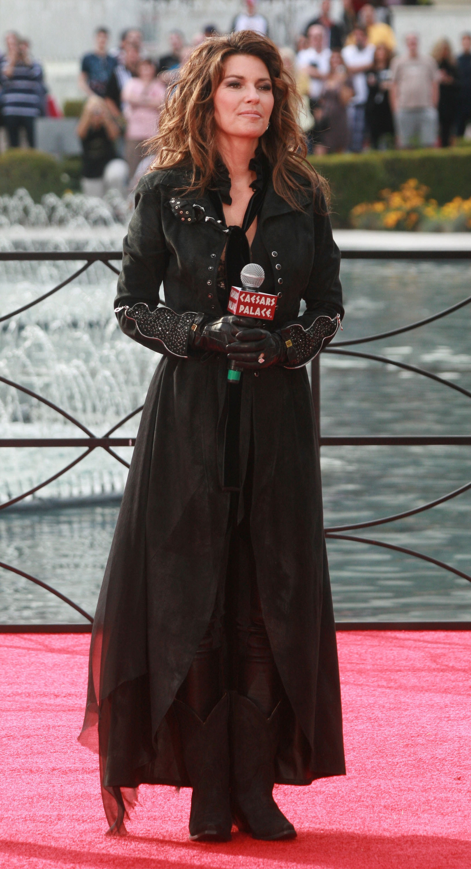 Shania Twain hace una gran entrada en el Caesars Palace el 14 de noviembre de 2012 en Las Vegas, Nevada | Fuente: Getty Images