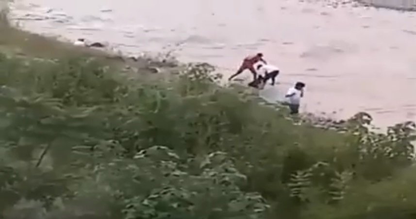 Niños arrojan perro a un río. | Foto: Facebook/QuesepaJujuy