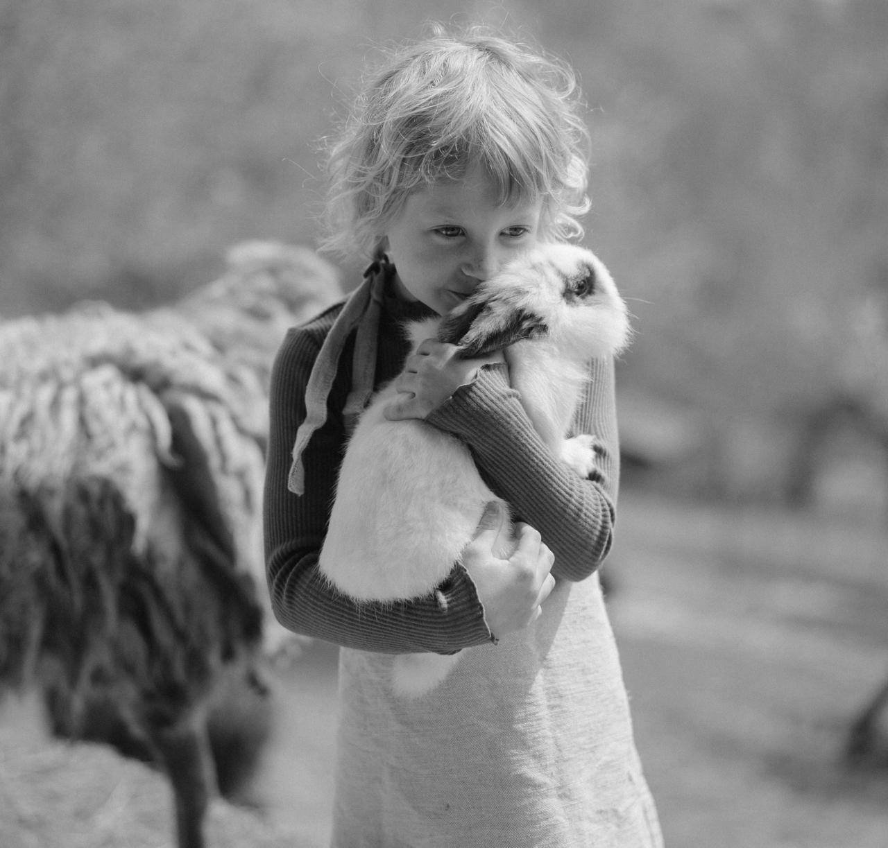 Imagen con fines ilustrativos | Foto: Pexels