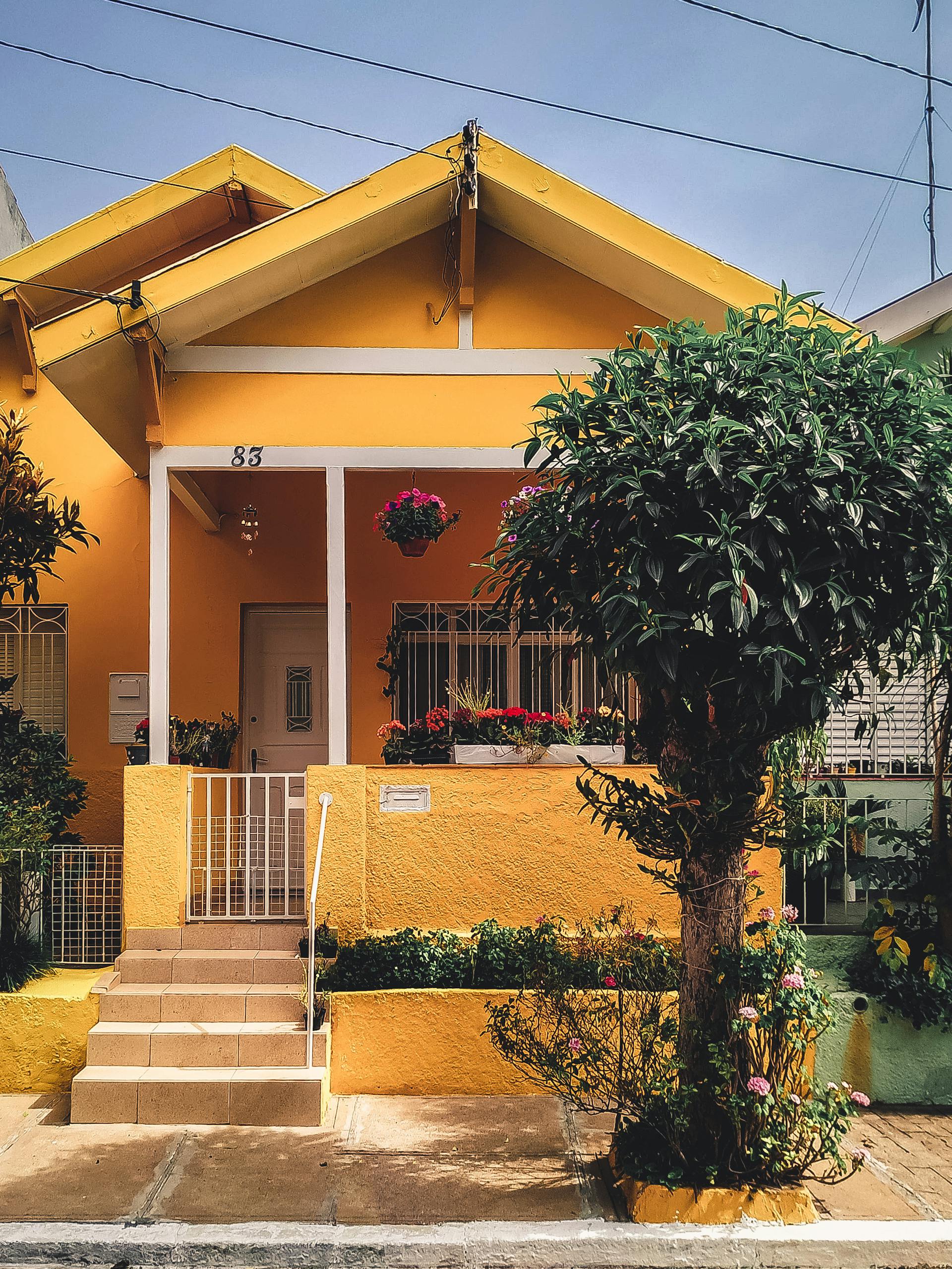 Casa amarilla con un árbol fuera | Foto: Pexels
