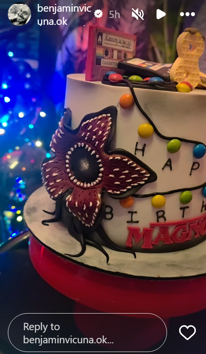 Pastel de cumpleaños de Magnolia, hija de Benjamín Vicuña y China Suárez | Fuente: Instagram Stories/benjaminvicuna.ok