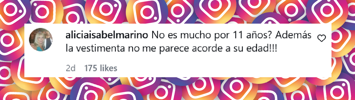 Comentario de una usuaria sobre la fiesta de cumpleaños de Giovanna, la hija de María Fernanda Callejón | Fuente: Instagram/giodiottocallejon