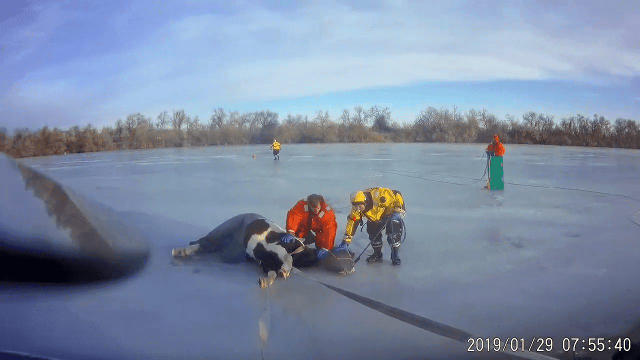 Bomberos de Loveland rescatan a un caballo atrapado en un lago congelado. | Foto: YouTube/Loveland Fire Rescue Authority