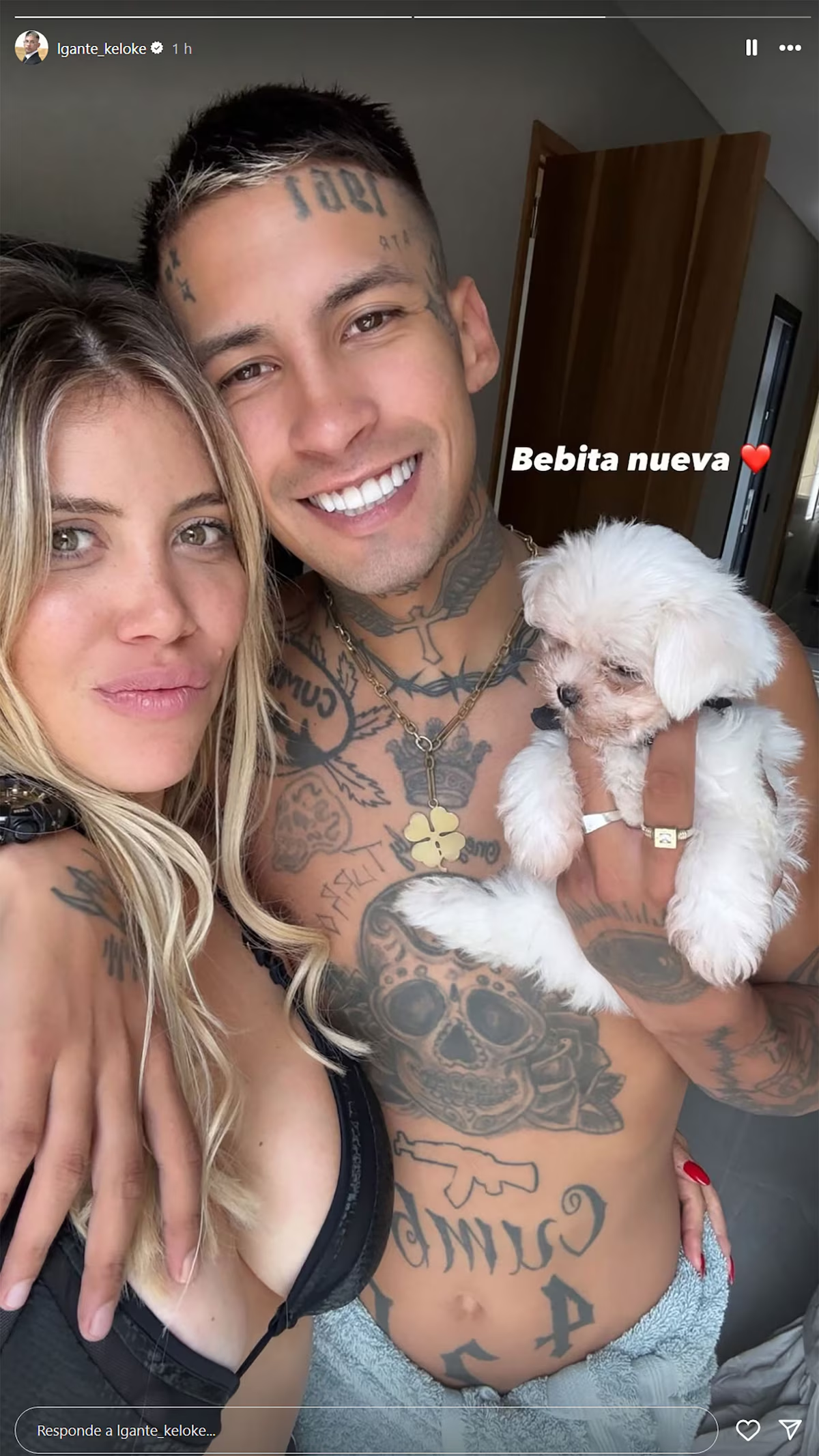 Wanda Nara junto a L-Gante mostrando a su nueva mascota | Fuente: Instagram Stories/lgante_keloke