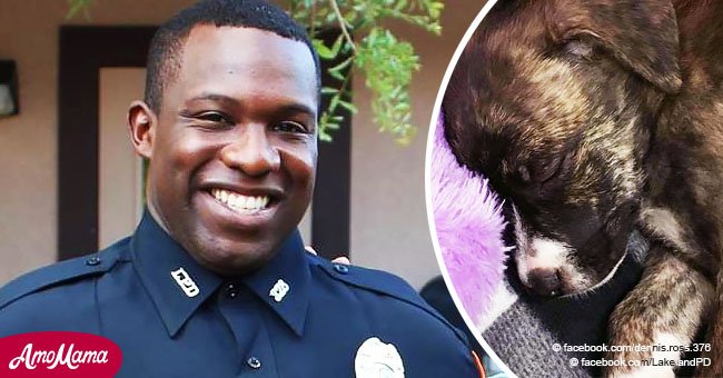 Oficial de policía aclamado como héroe después de que su foto con una cachorra se hiciera viral