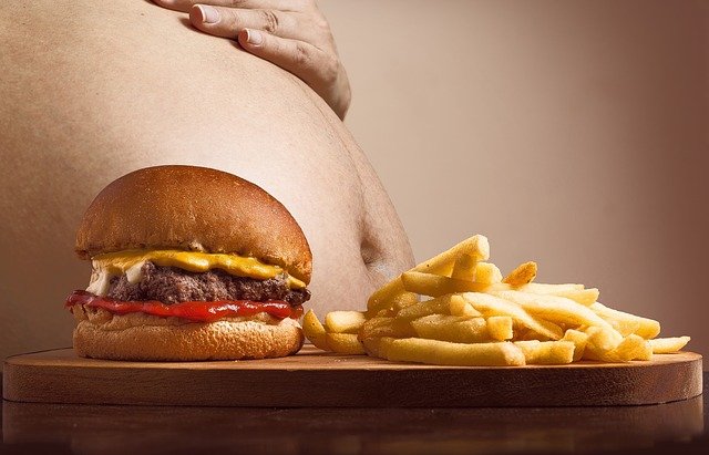 Obesidad y comida rápida. Fuente: Pixabay