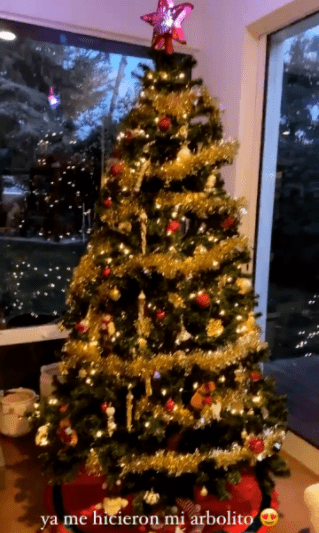 El árbol de Navidad de Aislinn Derbez. │ Foto: Captura de Instagram/aislinnderbez