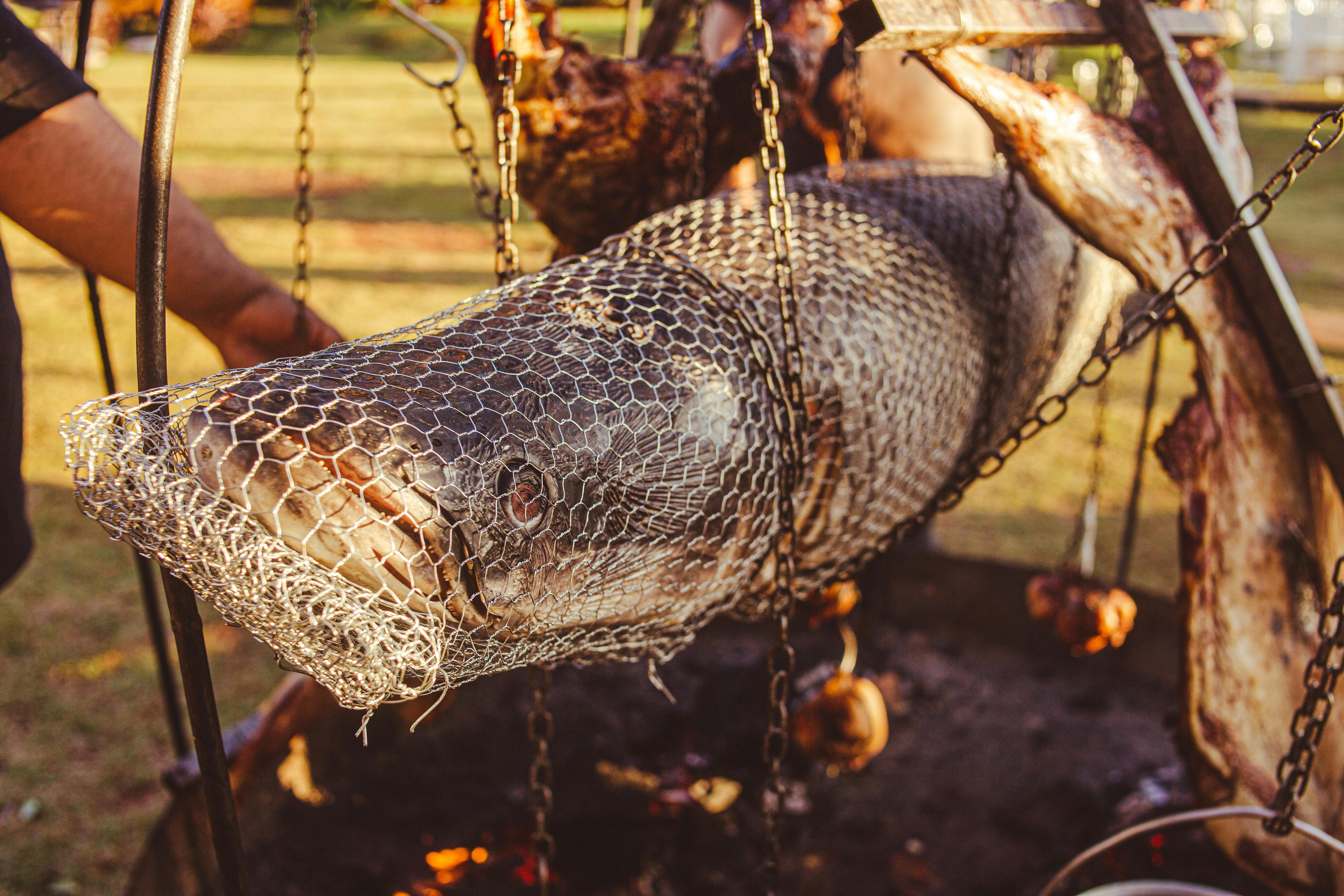 Gran pez capturado con una red | Fuente: Pexels