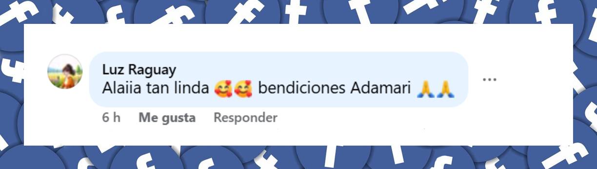 Comentario de una seguidora | Fuente: Facebook/adamari.lopez.tv