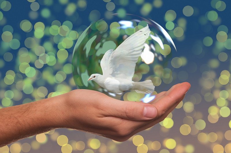 El 21 de septiembre se celebra el Día Internacional de Paz.| Fuente: Pexels