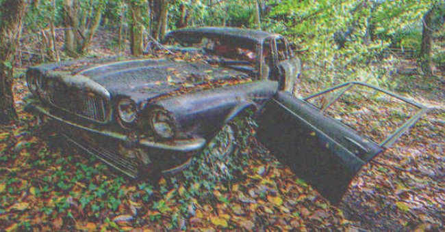 Un auto abandonado en el bosque | Foto: Shutterstock