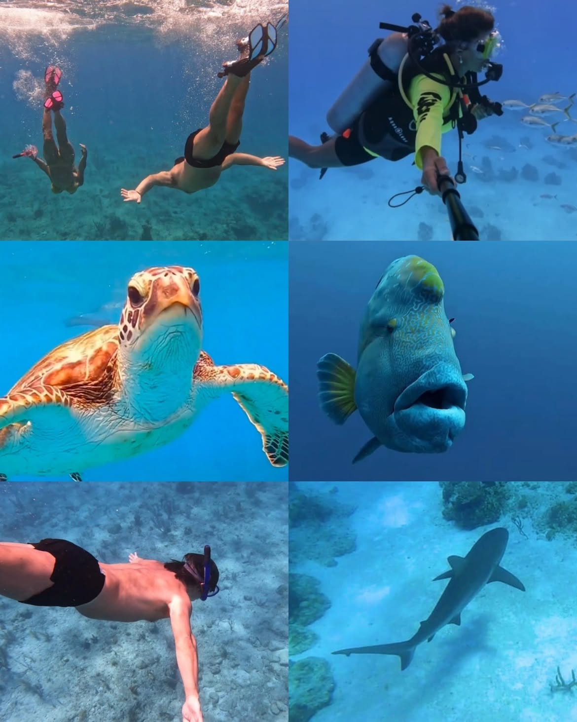 Diego Torres y su novia Martina Díaz Radonic hicieron tomas de la fauna marina durante su excursión de snorkel | Fuente: Instagram/diegotorresmusica
