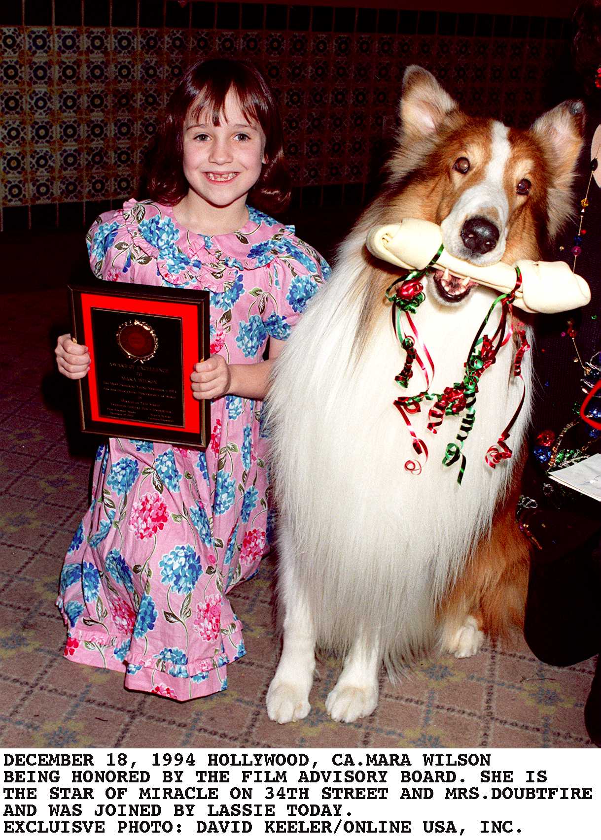 Mara Wilson y Lassie reciben un homenaje del Consejo Asesor Cinematográfico en Los Ángeles el 14 de diciembre de 1994. | Fuente: Getty Images