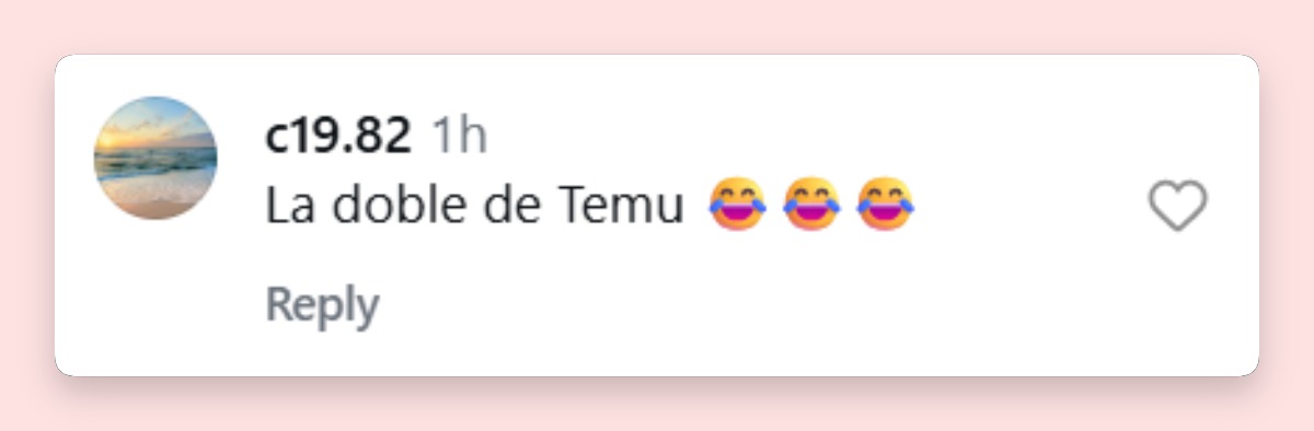 Comentario irónico de un usuario | Fuente: Instagram/visionshowtv