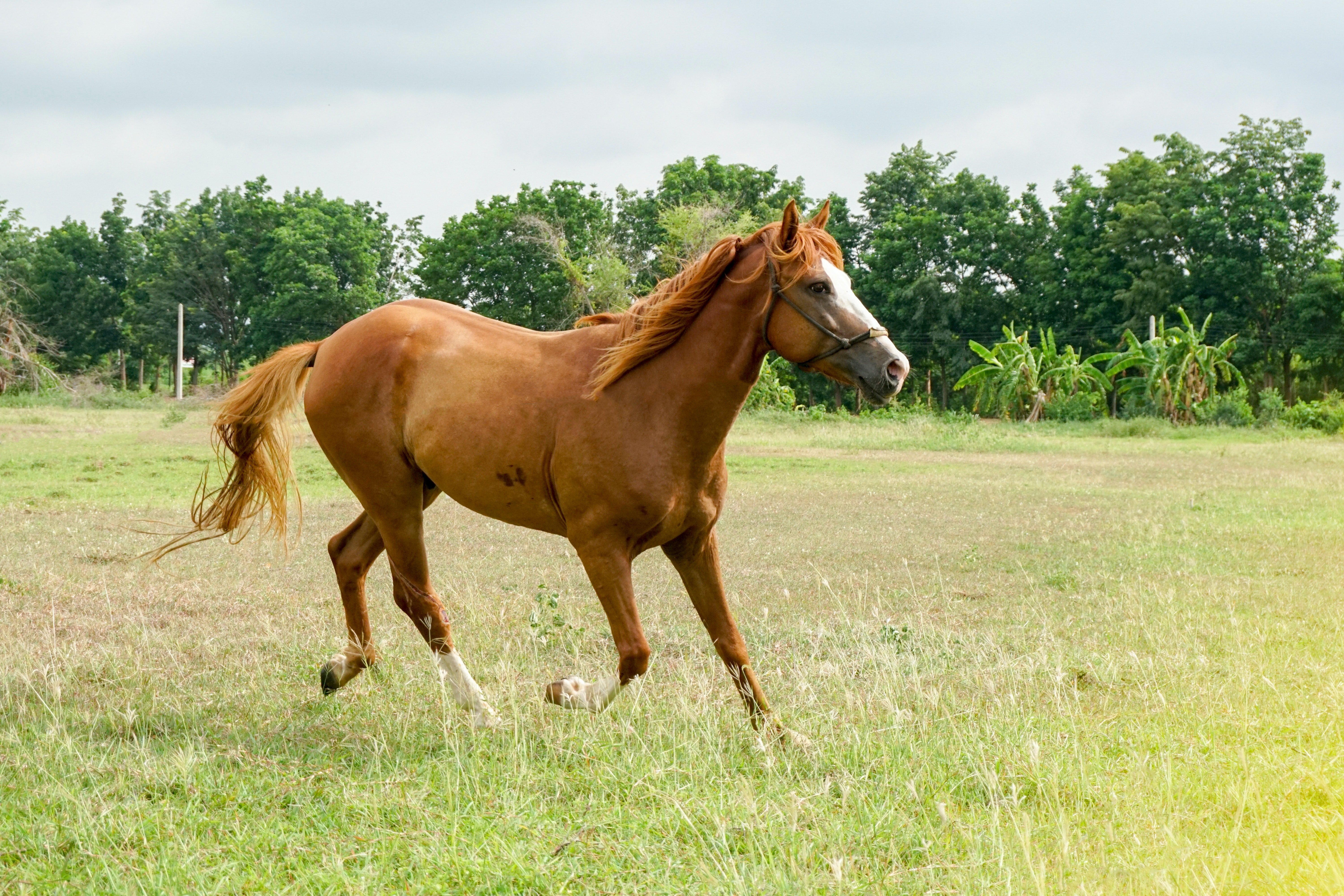 Imagen con fines ilustrativos. | Foto: Pexels 