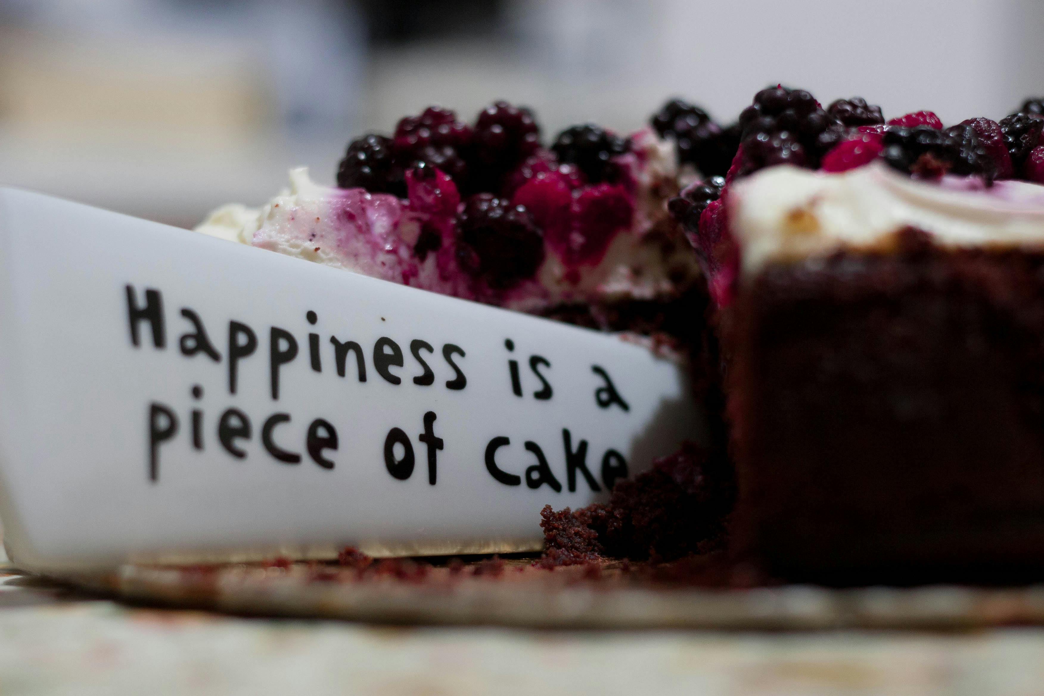 Imagen con fines ilustrativos | Foto: Pexels