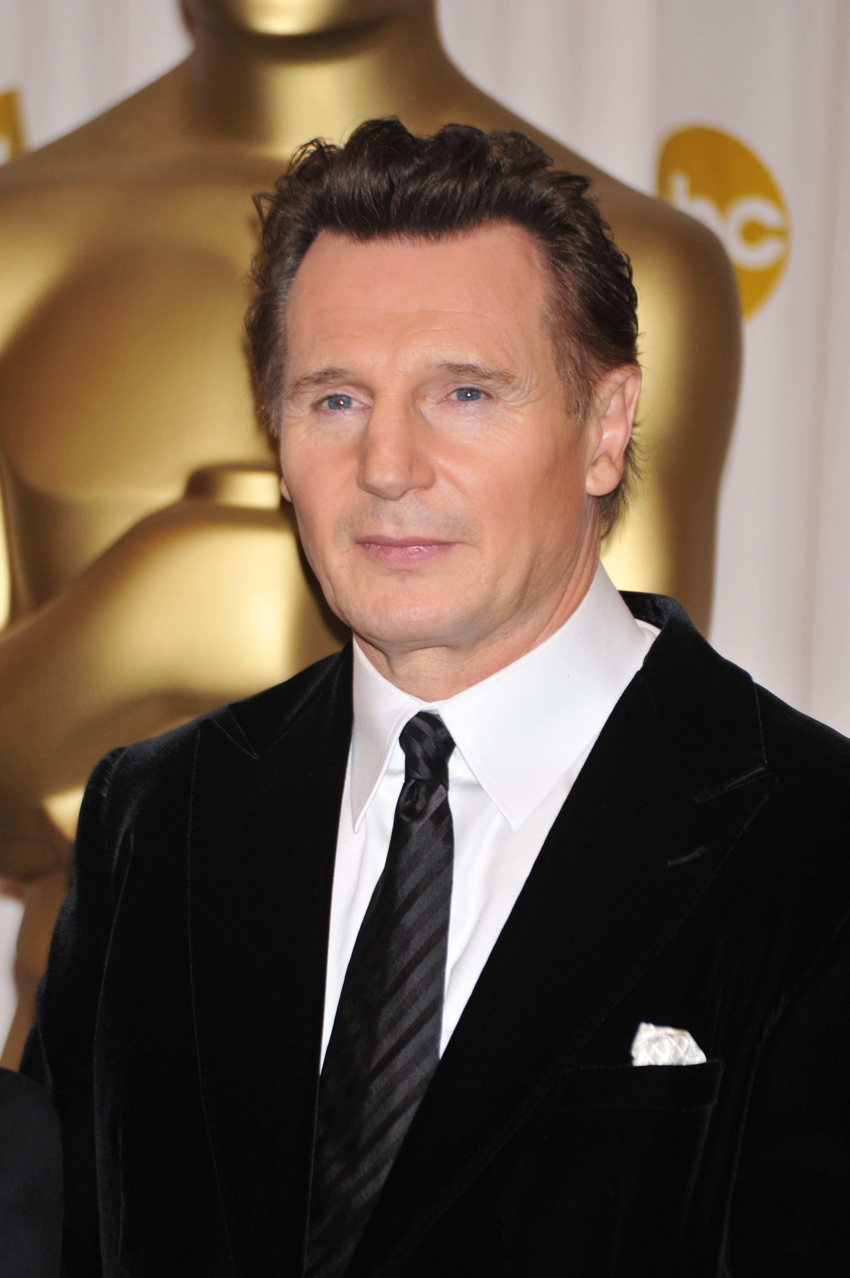 Liam Neeson en la 81ª edición de los Premios de la Academia el 22 de febrero de 2009 en Hollywood, California. | Fuente: Getty Images