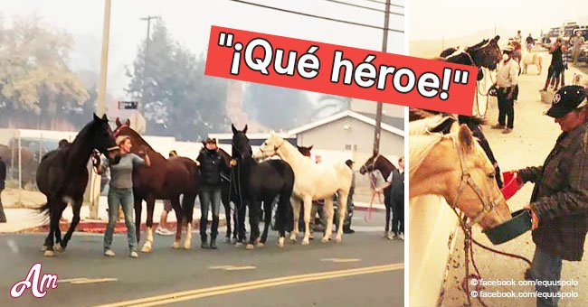 Doble de Hollywood arriesga su vida para salvar a 300 caballos de furioso incendio