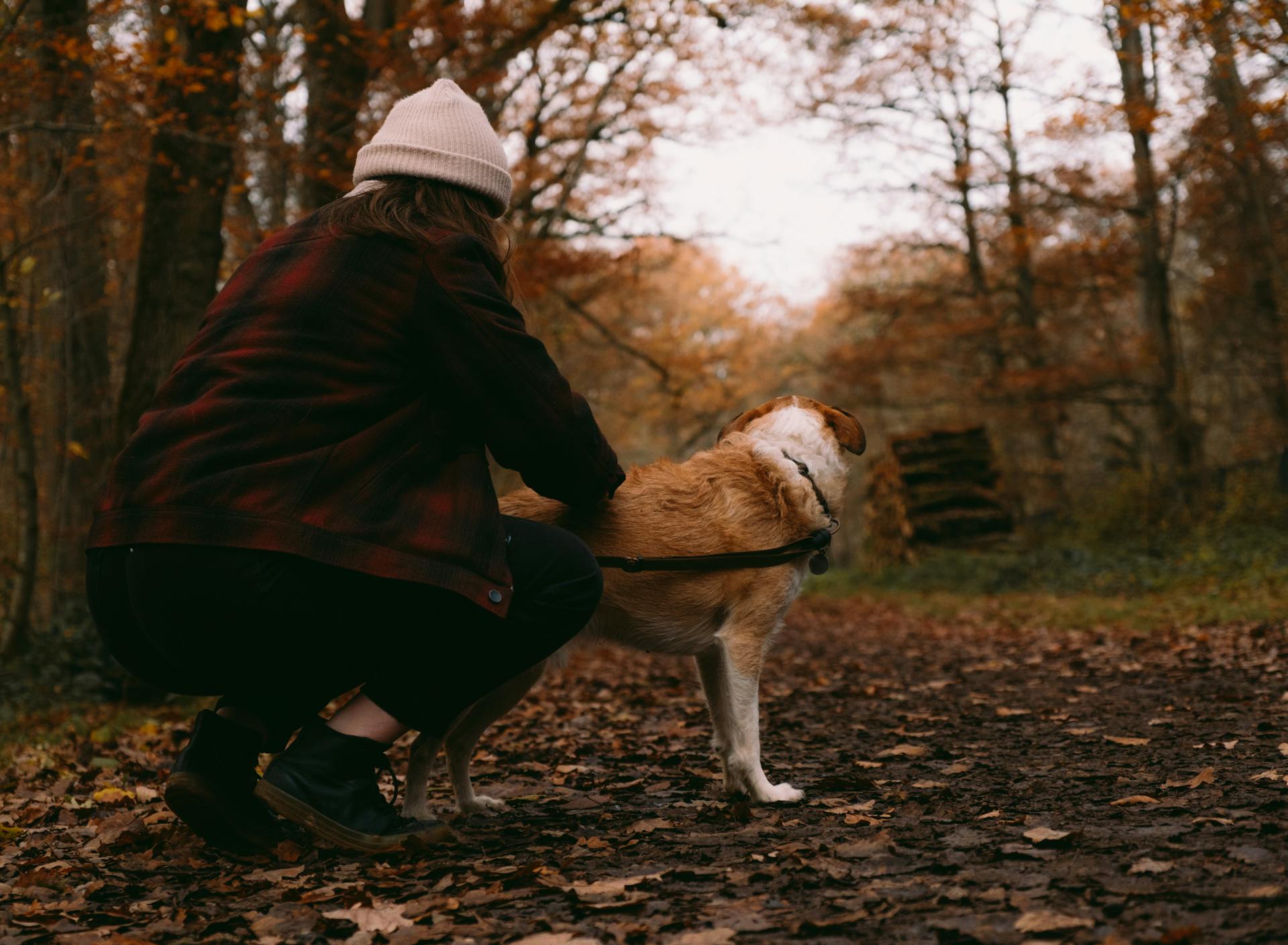 Una mujer en un parque con su perro | Fuente: Pexels