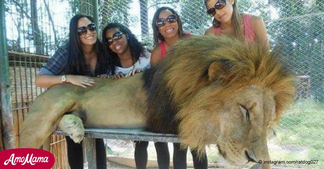 Zoo presuntamente seda animales indefensos para que visitantes se tomen fotos "divertidas" con ellos