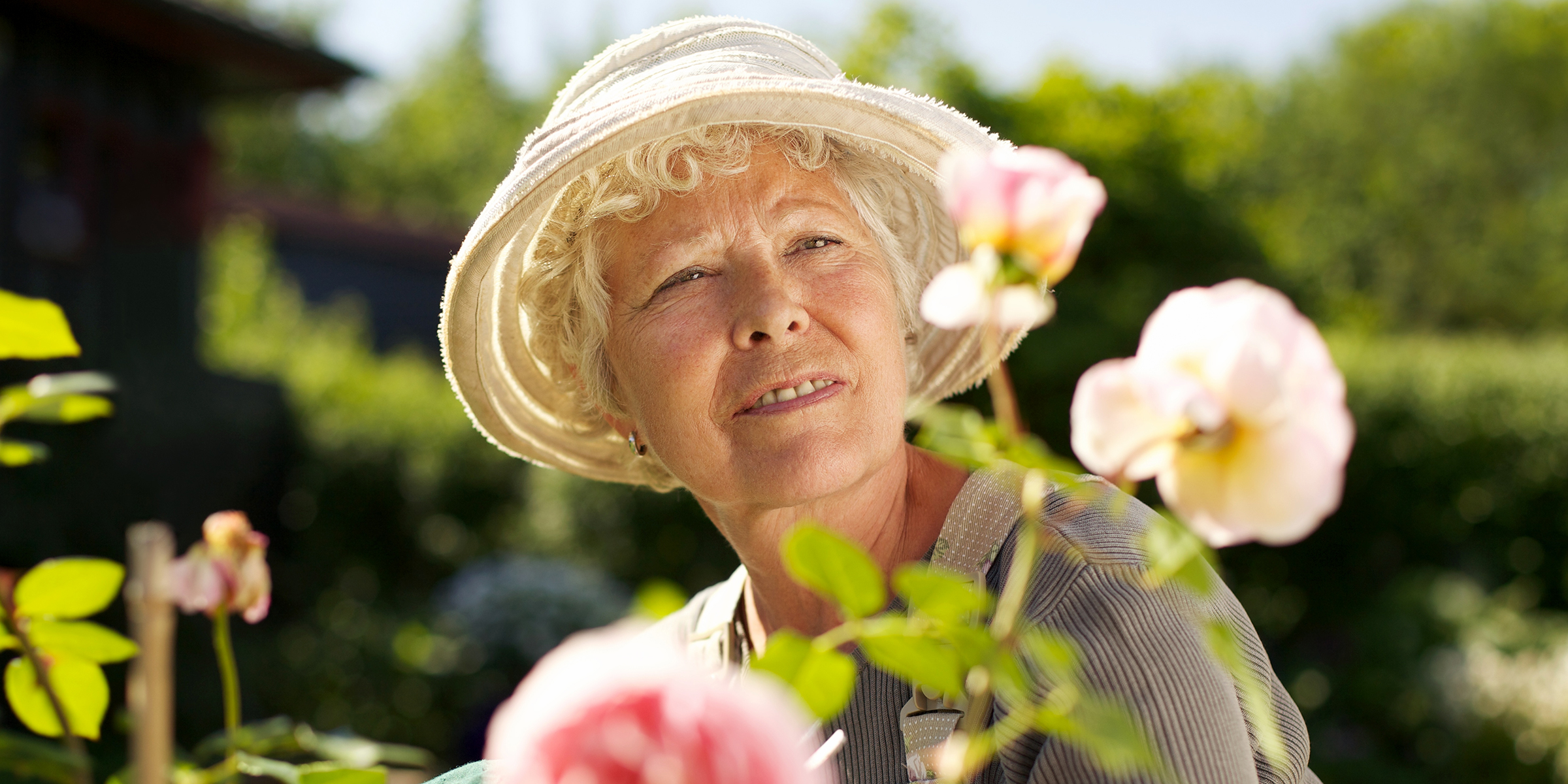 Anciana cultivando un huerto | Fuente: Shutterstock