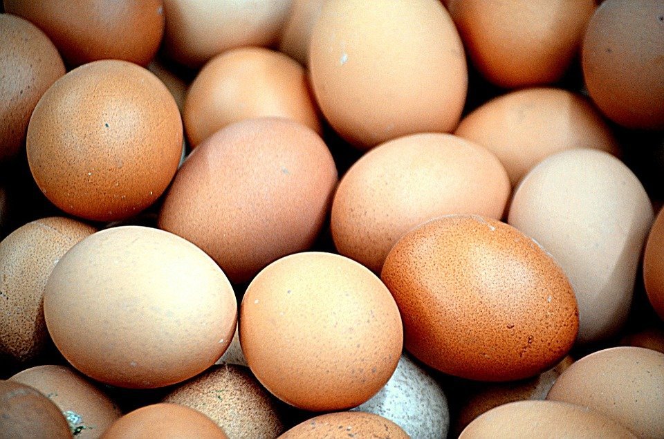 Huevos. | Foto: Pixabay
