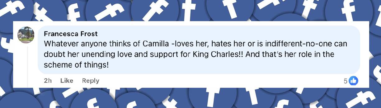 Reacción de un internauta a la elección de corona de la Reina Camilla, destacando su amor y apoyo al rey Charles, publicada el 3 de diciembre de 2024 | Fuente: facebook.com/GBNewsOnline