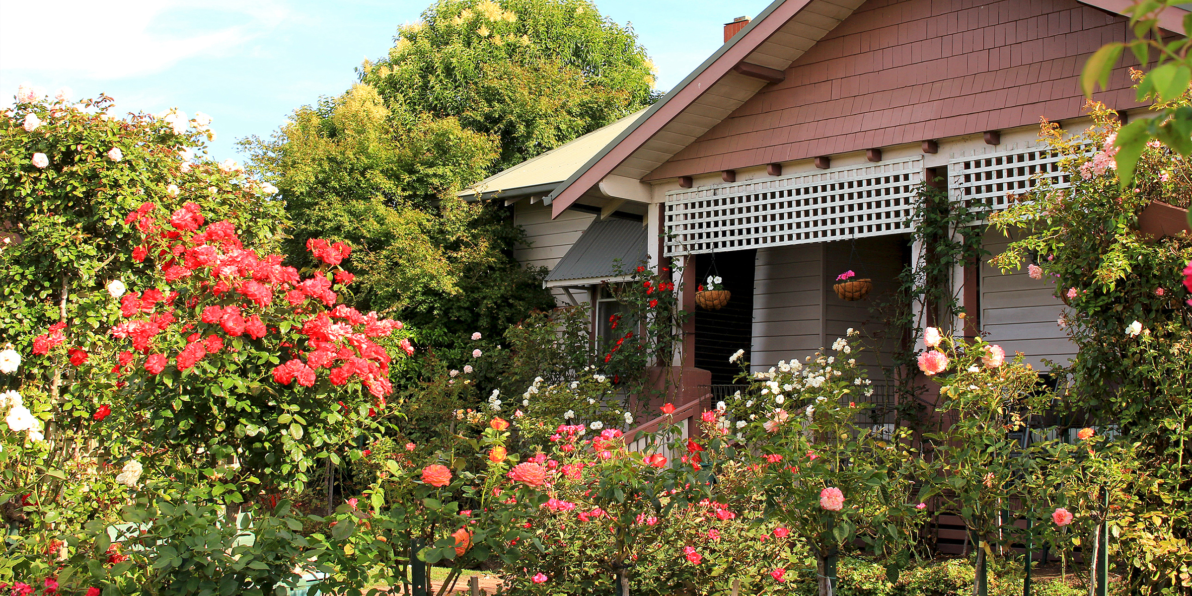 Un hermoso jardín en el exterior de una casa suburbana | Fuente: Shutterstock