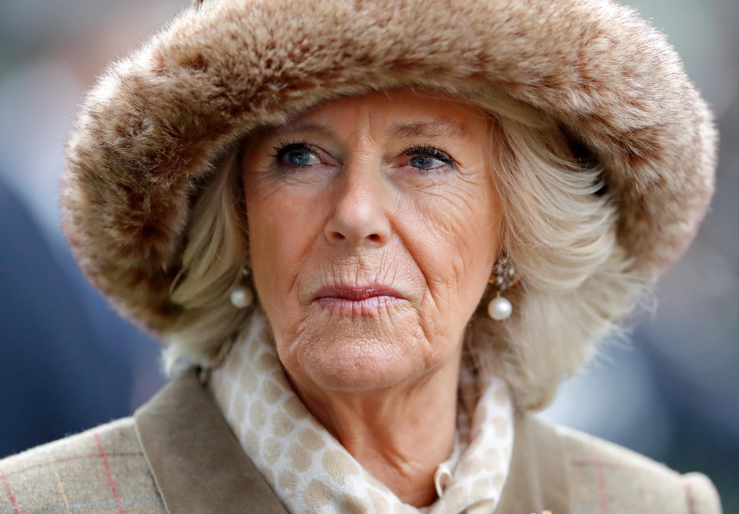 Camilla, duquesa de Cornualles, asiste a la carrera The Prince's Countryside Fund Raceday en Ascot, Inglaterra, el 23 de noviembre de 2018 | Fuente: Getty Images