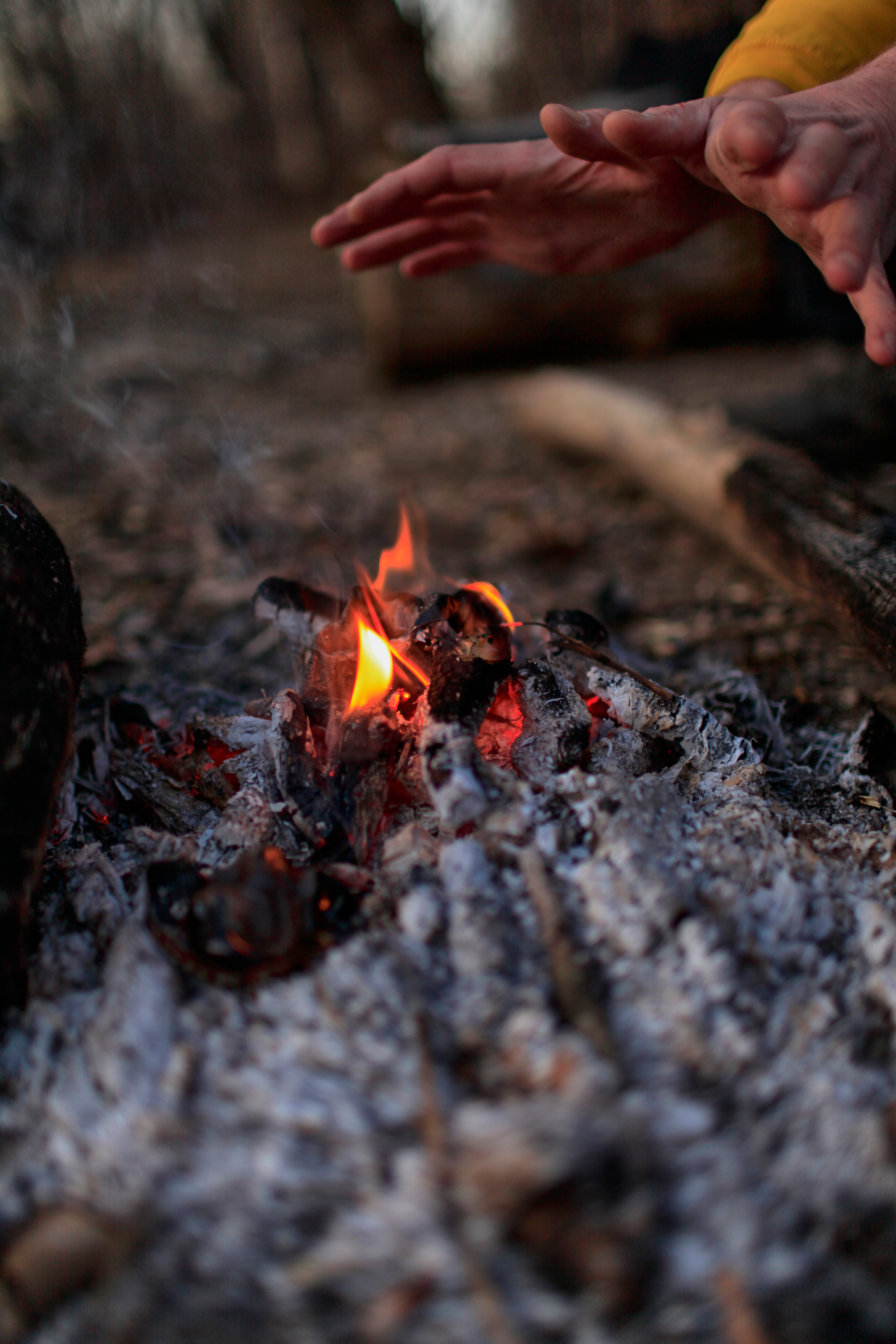 Manos cerca del fuego | Fuente: Shutterstock.com