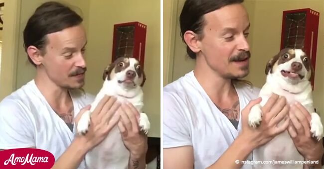Perrito odia que lo abracen y su reacción a los besos se viraliza rápidamente (video)